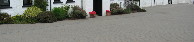 White House and Driveway